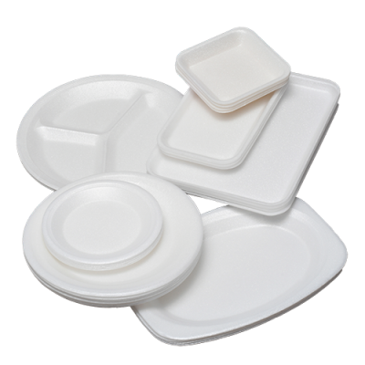 PNG_FOTO-GRUPAL-PLATOS